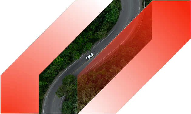 aerial view of a white car on a winding road surrounded by trees